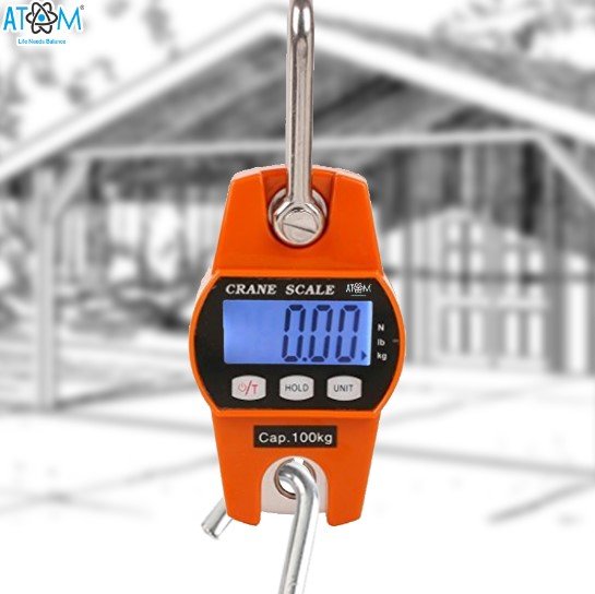 Atom Crane Scale 200kg Weight Machine Weighing Scale